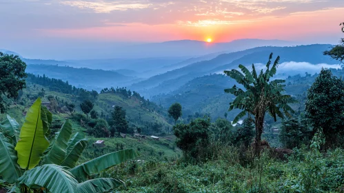 Tranquil Sunset Over Green Hills