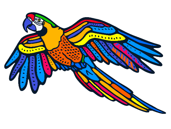 Vibrant Parrot Artwork for Apparel POD Design