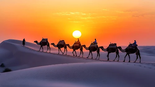 Camels Caravan in Desert at Sunset