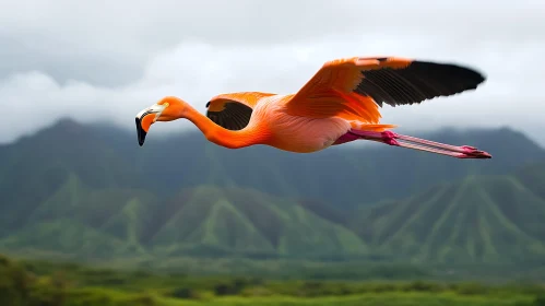 Flying Flamingo