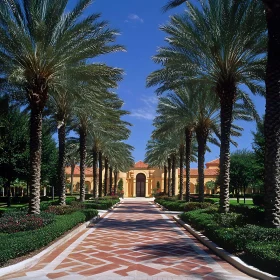 Elegant Pathway Leading to a Majestic Building