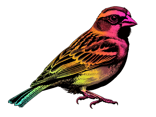 POD Design Realistic Vector Illustration of a Sparrow on Transparent Background