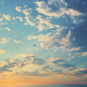 Birds Flying in the Sunset Sky