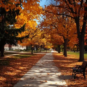 Fall Foliage in the Park