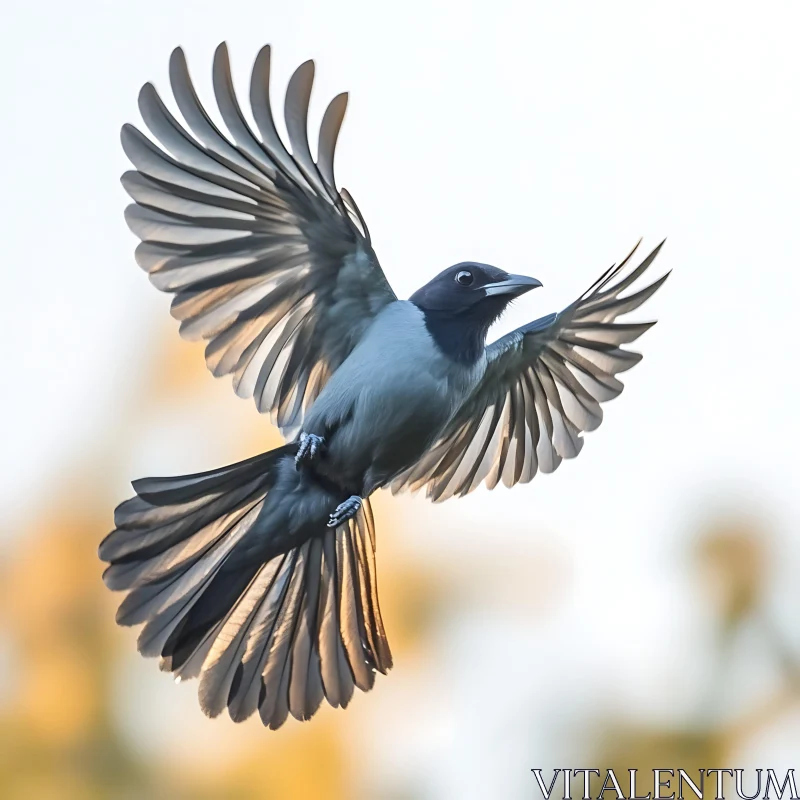 Bird Soaring in the Sky AI Image