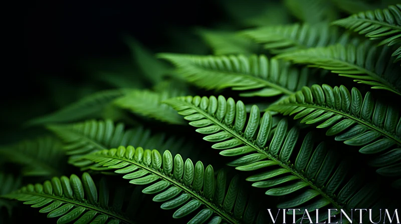 Green Fern Leaves on Black Background - Nature's Beauty Captured AI Image