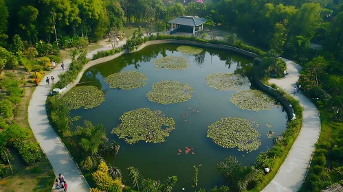 Lily Pad Pond in Green Park