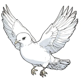 Dove in Flight Illustration