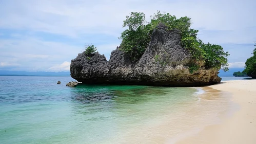 Tropical Beach with Clear Waters and Vegetated Rock