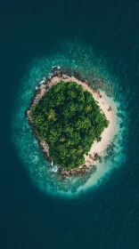 Tropical Island Aerial Shot