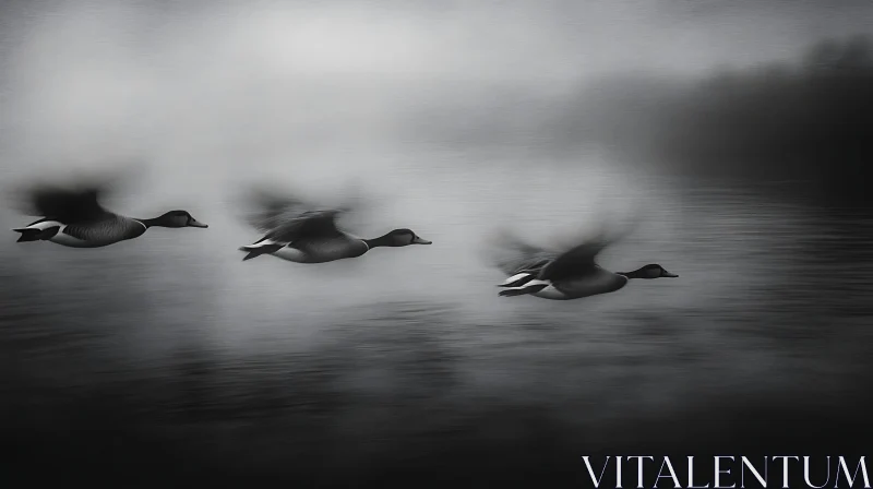 Monochrome Ducks in Motion AI Image