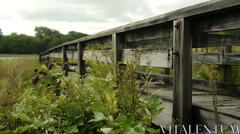 Weathered Bridge with Overgrown Plants AI Image