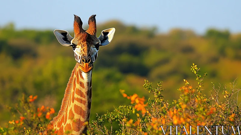 Giraffe in the Wild AI Image