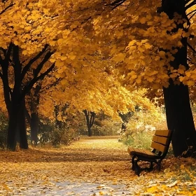 Peaceful Fall Day in the Park