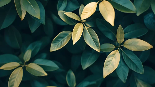 Green Leaves Close-Up