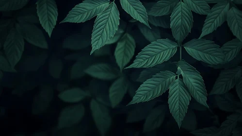 Verdant Foliage Against the Shadows