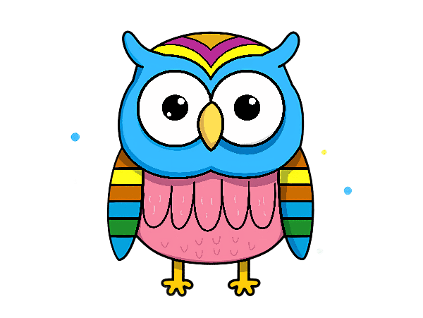 Vibrant Owl Graphic