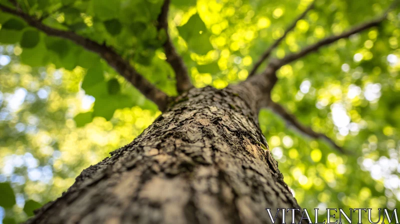 Tree Trunk Perspective with Green Canopy AI Image