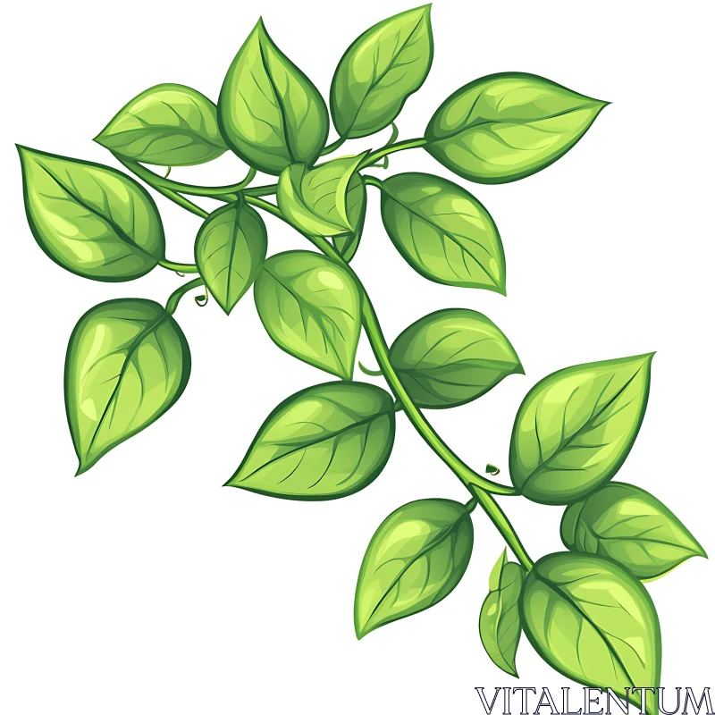 Fresh Green Leaves on Twisting Branch