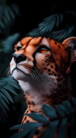 Cheetah Portrait Among Leaves