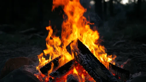 Vibrant Campfire in a Dark Forest Setting
