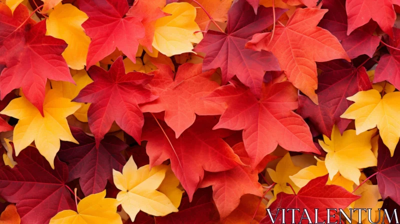 Autumn Leaves - A Joyful Celebration of Nature's Colors AI Image
