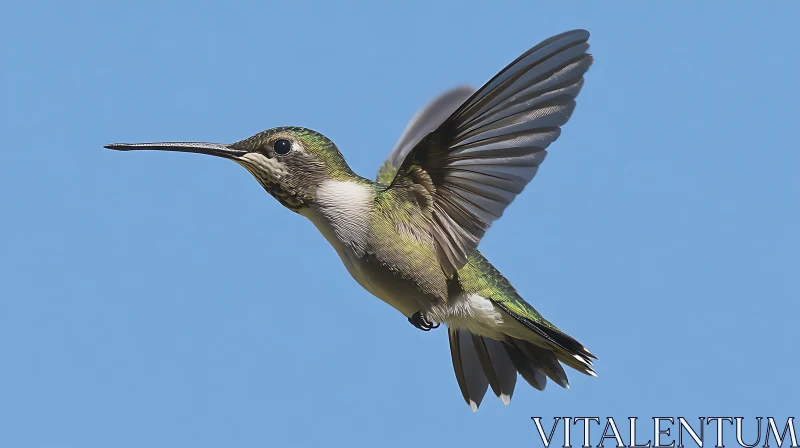 Flying Hummingbird with Green Plumage AI Image