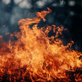 Mesmerizing Image of Wild Burning Flames