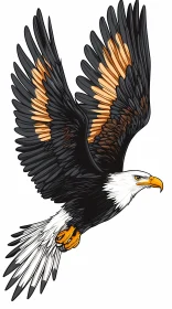 Eagle with Outspread Wings and Orange Accents