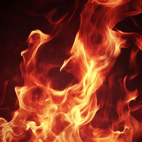 Dancing Flames in a Blaze of Color