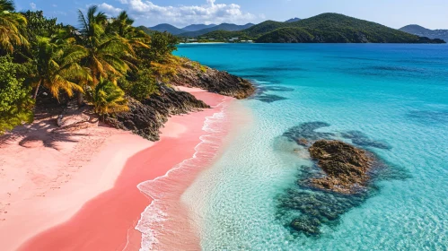 Scenic Tropical Beach with Pink Sand and Crystal Clear Waters