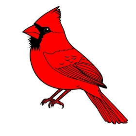 Crimson Cardinal Graphic Art