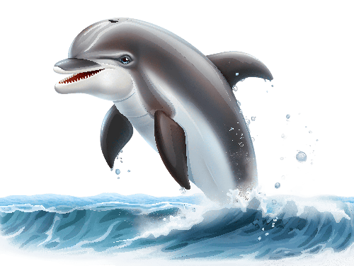 Cartoon Dolphin Jumping Out of Water - Playful Art