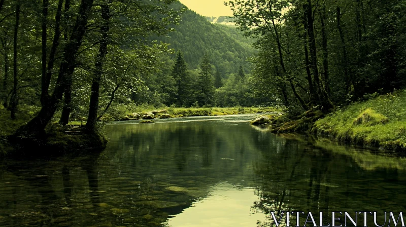 AI ART Peaceful River in a Verdant Forest Landscape