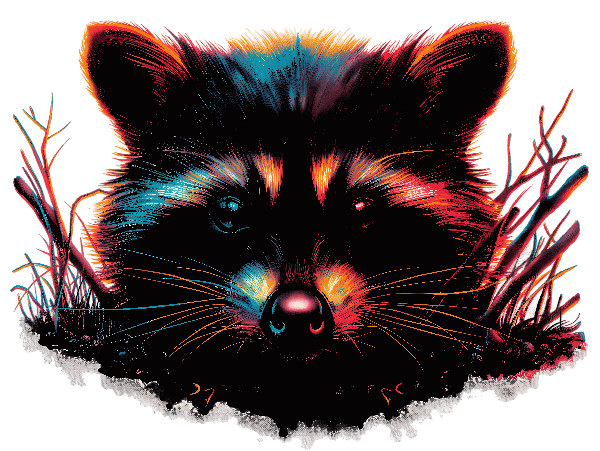 Vibrant Raccoon Art Illustration POD Design