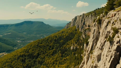 Majestic Mountain Range Photography