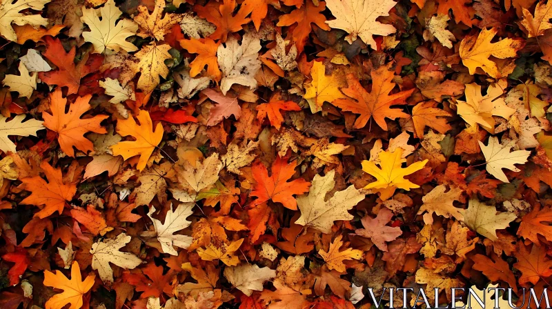 Fallen Leaves: An Autumnal Ground Cover