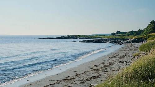 Peaceful Shoreline with Calm Sea
