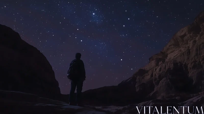 Night Sky Contemplation