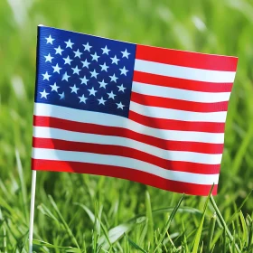 Stars and Stripes on Green Grass