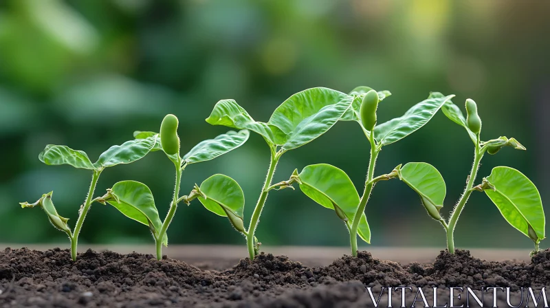 New Life: Seedlings in Rich Soil AI Image