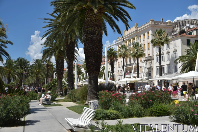 PHOTO Palm-Lined Walkway in Split