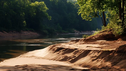 Peaceful Forest River Scene with Sand and Trees