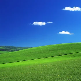 Idyllic Green Landscape