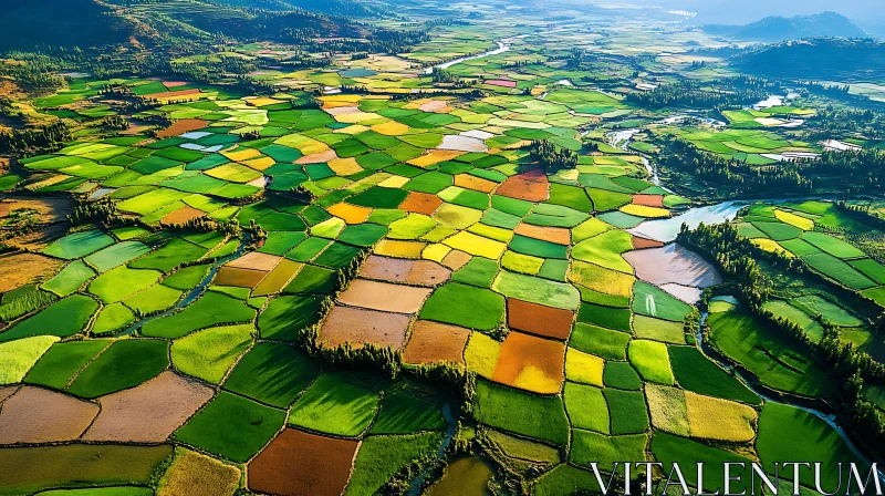 Patchwork Fields: Aerial View of Agricultural Landscape AI Image