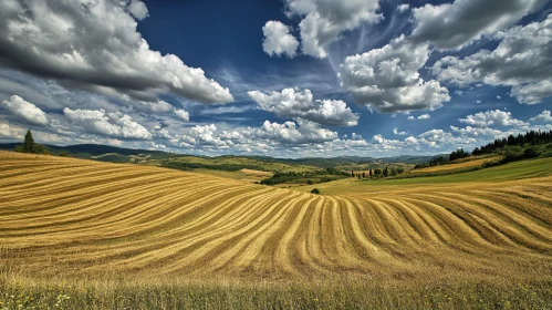 Expansive Agriculture Landscape with Rolling Crops and Clouds