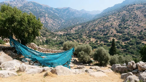 Scenic Mountain View and Blue Net