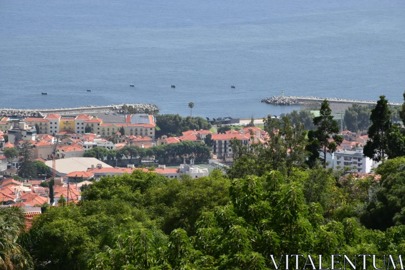 PHOTO Madeira's Scenic Coastal Town View