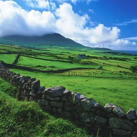 Picturesque Green Field with Cloudy Mountain