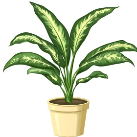 Potted Dieffenbachia Plant with Striped Leaves